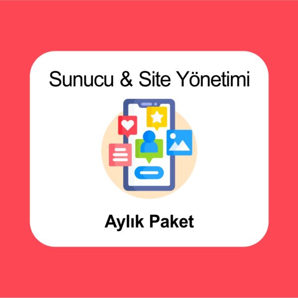 website sunucu yönetimi aylık