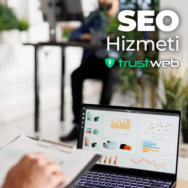 seo-hizmeti-trustweb